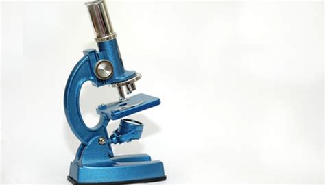 Toradh íomhá ar Simple versus Compound Microscope