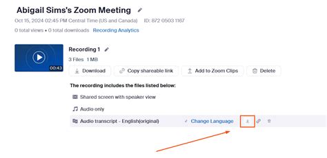 Toradh íomhá ar Zoom Audio Transcripts