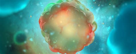 Image result for Array BioPharma