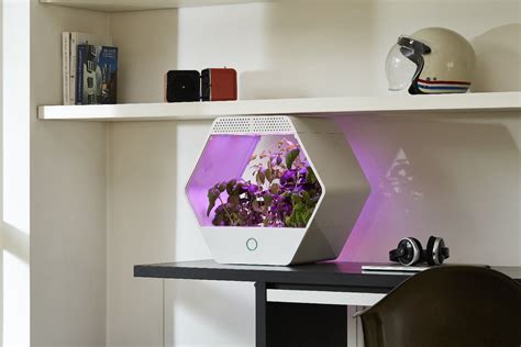 Image result for Robonica