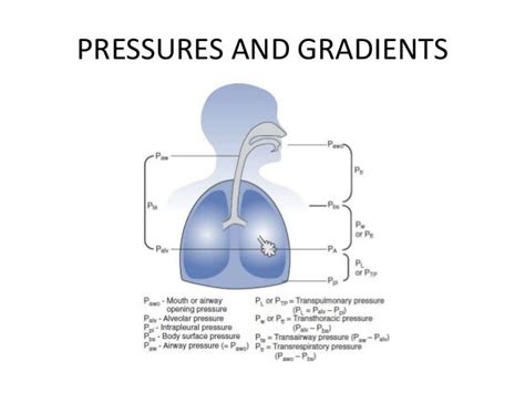 Image result for Types of Pressure Gradient