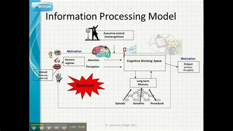 Image result for Components of Information Processing Model