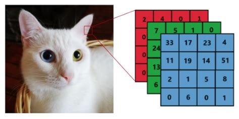 Apparatuur Vision Matrix に対する画像結果