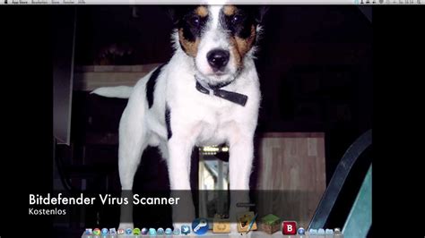 Toradh íomhá ar Virus Programm