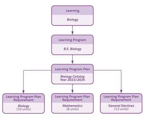 Image result for What Is Program Name for University AMD Example
