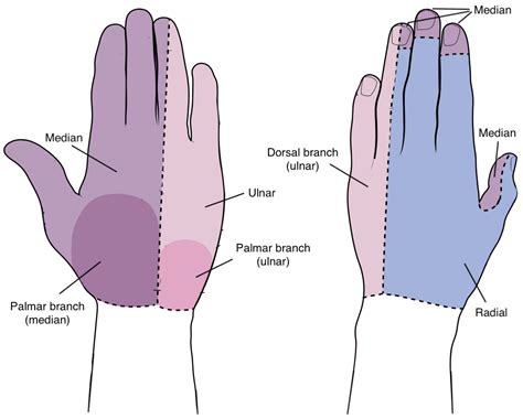 Image result for Functional Hand Movement Disorders