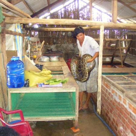 Image result for Python Farming