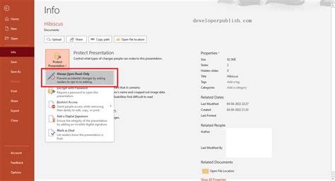 Image result for Option File in PowerPoint