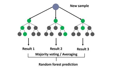 Image result for Algorithme De Random Forest