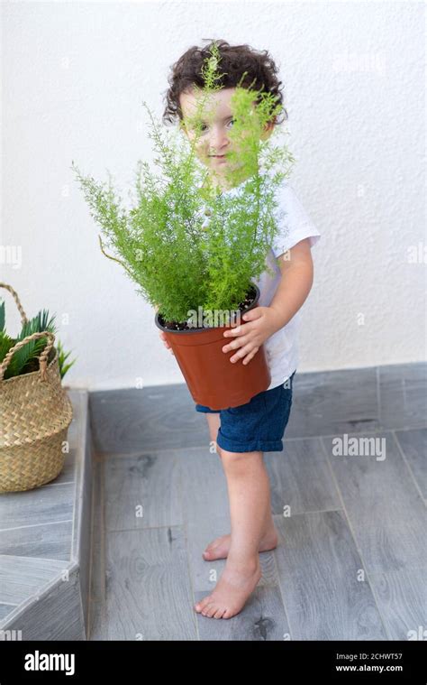 Image result for Plants Grab Boy's Arm