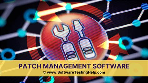 Toradh íomhá ar What Is Database Management Software