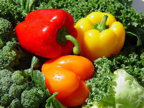 Toradh íomhá ar Quick Privacy Fence Ideas