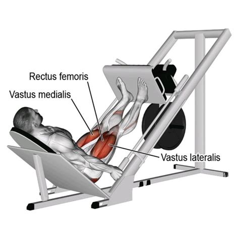 Image result for Plate Loaded Leg Press