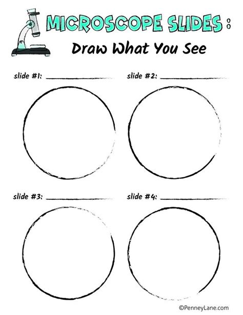 Microscopy Activity に対する画像結果