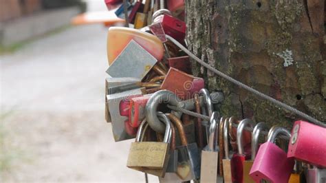 Toradh íomhá ar Germany Nature-Lovers
