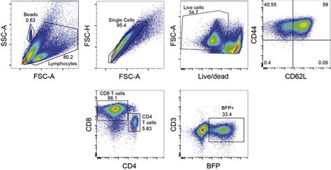 Image result for Marimo Cell Gating Flow Cytometry