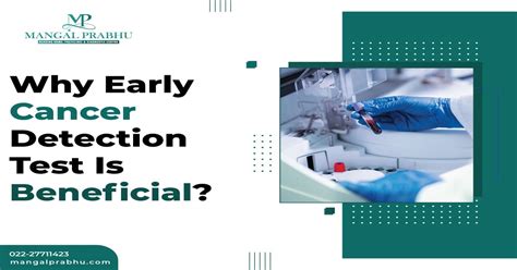 Early Stage Cancer Detection に対する画像結果