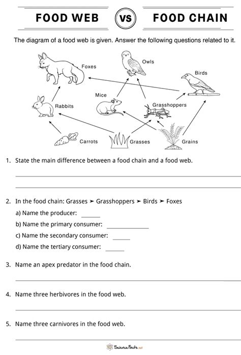 Toradh íomhá ar Evolution Web Diagram Answer Key