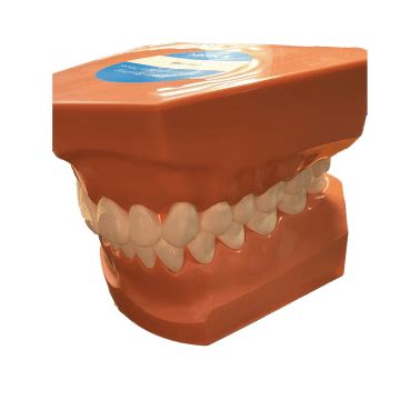 Image result for Supervised Tooth Brushing Logic Model