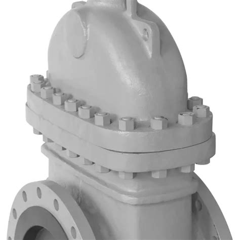 Toradh íomhá ar Spring Loaded Parallel Slide Valve