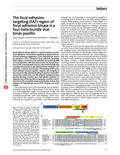 Afbeeldingsresultaten voor Focal Adhesion Kinase