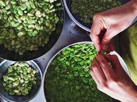 Toradh íomhá ar Parkinson's Diet Food List