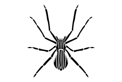 Toradh íomhá ar Solid Color Graphics