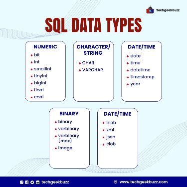 Image result for SQL Types Diagram
