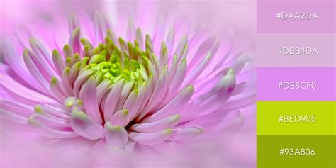 Image result for Unique Color Combinations