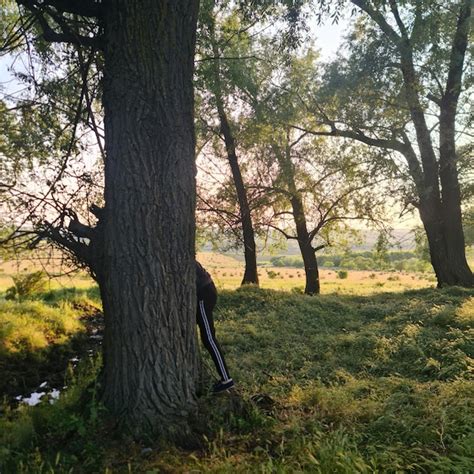 Image result for A Person Standing Next to a Tree