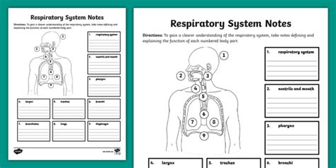 Afbeeldingsresultaten voor Respiratory System Notes PDF