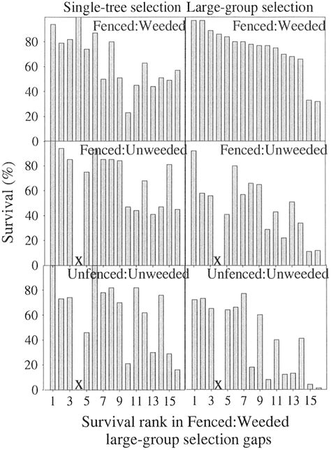 Toradh íomhá ar Single Tree Frame Net