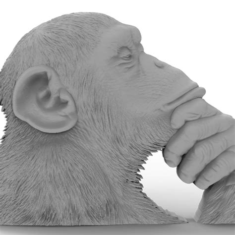 Image result for How to Make Monkey Model