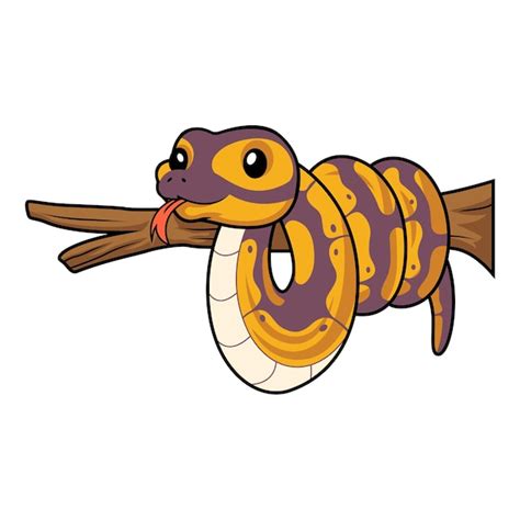 Afbeeldingsresultaten voor Banna Python Drawing