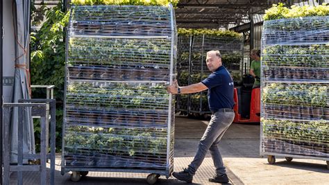 Afbeeldingsresultaten voor Thermo Transport Logo
