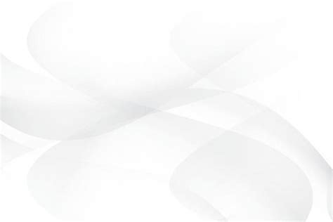 Image result for White Abstract Vector Transparent