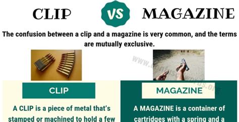 Image result for Clip vs Magazine Examples
