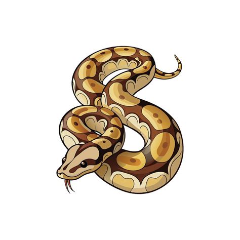 Toradh íomhá ar Python SVG Without Background