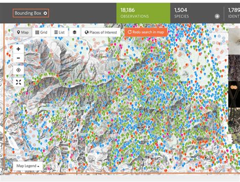 Image result for iNaturalist Map Color Chart