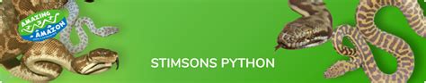 Comen Stimson Python に対する画像結果