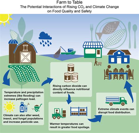 Image result for Food Production and Environment