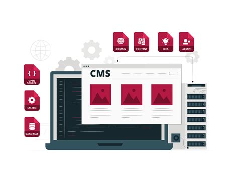 Image result for How to Use CMS Software