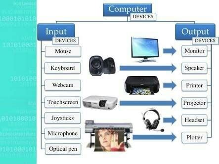 Afbeeldingsresultaten voor Input and Output Devices Chart Printable
