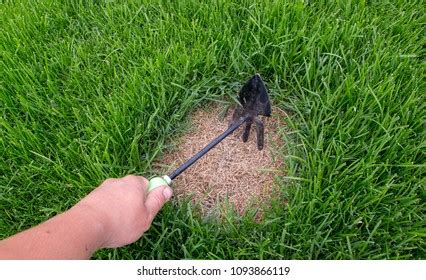Toradh íomhá ar Lawn Repairing