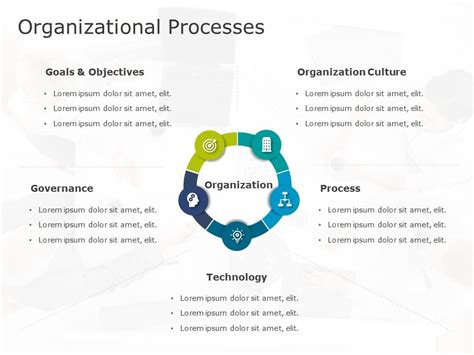 Image result for Organization Process