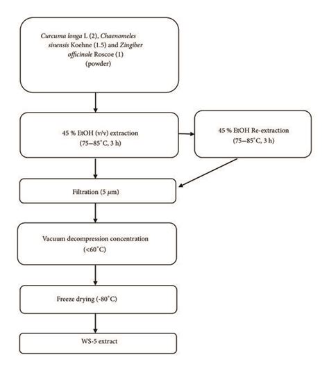 Extraction Flow Chart に対する画像結果