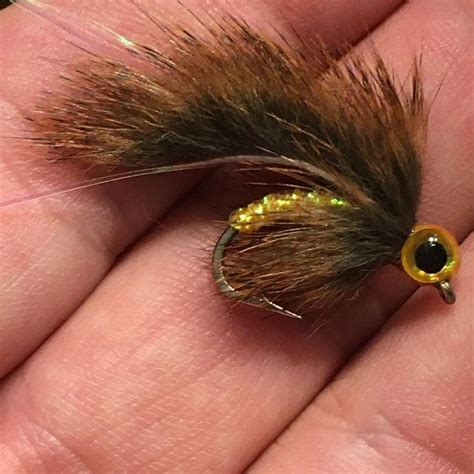 Image result for Micro GameChanger Fly