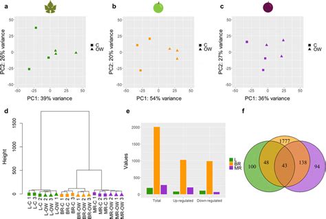 Afbeeldingsresultaten voor Transcriptomics Figure