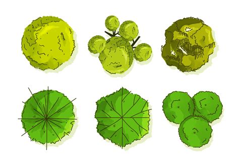 Image result for TreePlan Vector