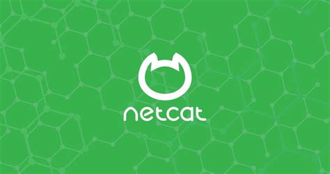 Image result for Netcat
